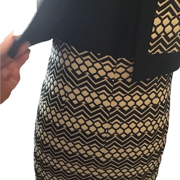 LAUDRY by Shelli Segull Size 6 NWT - Picture 4 of 9